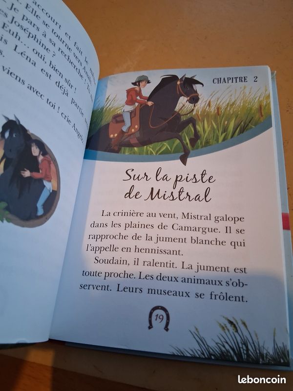 Le ranch l’indomptable (image 3)