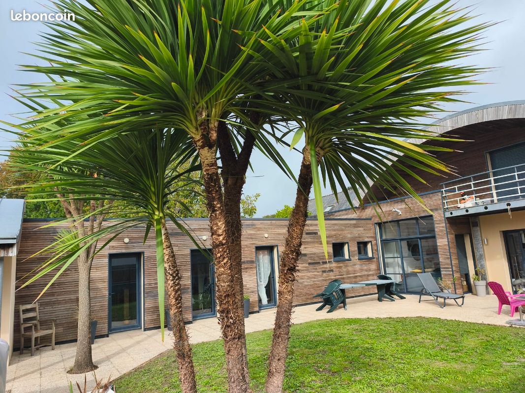 Maison 6 pièces 200 m² · à La Baule-Escoublac · 200 m² · 990 000 €