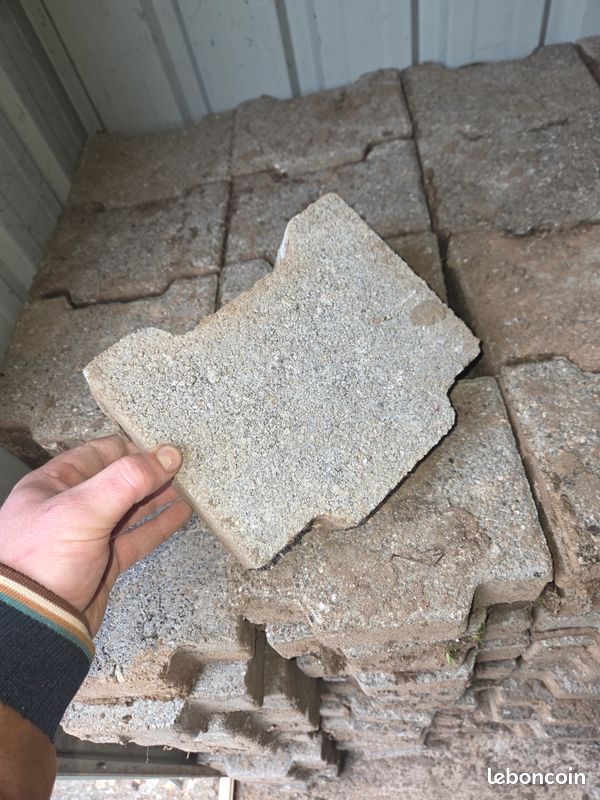 Pavés autobloquants béton (image 1)