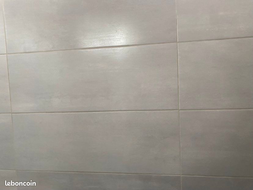 Carrelage rectifié gris clair (image 1)