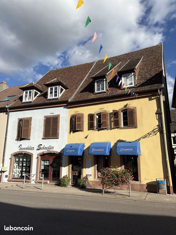 Maison 12 pièces 221 m² · à Diemeringen · 221 m² · 367 500 €