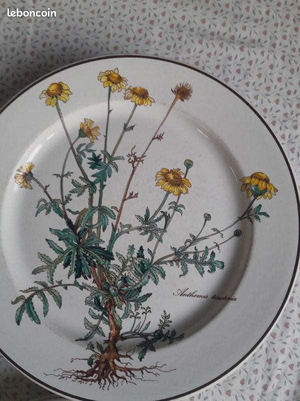 Assiettes Botanica (image 1)