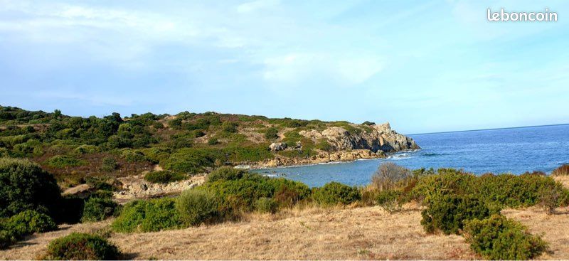 Location Corse plaine orientale (image 5)