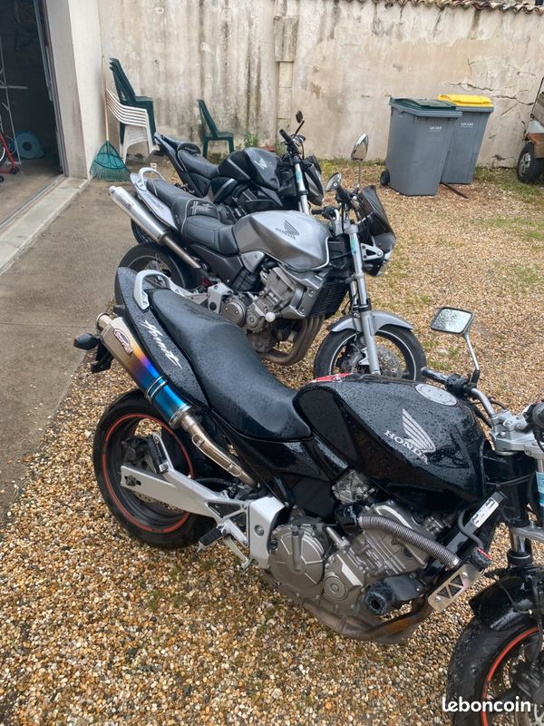 Honda hornet (image 3)