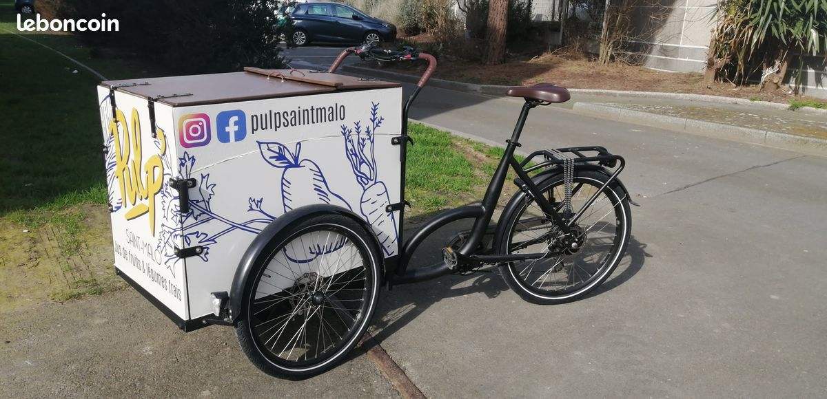 Livraison Triporteur UsagÃ© A Vendre Vélo Triporteur Electrique