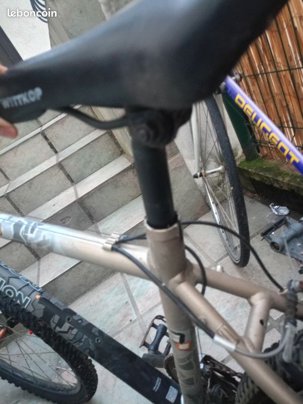 Vélo Normal (image 3)