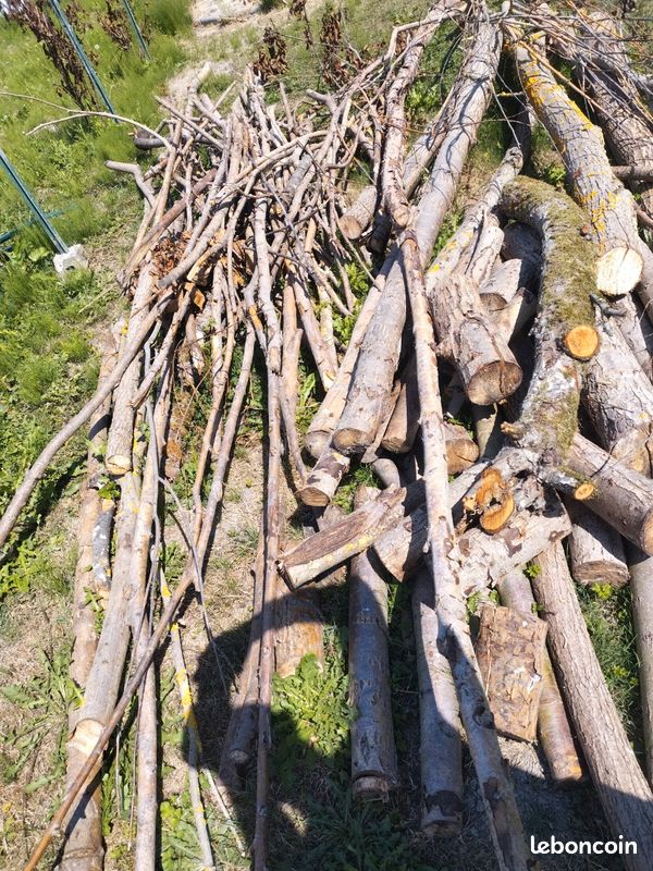 Bois chauffage (image 1)