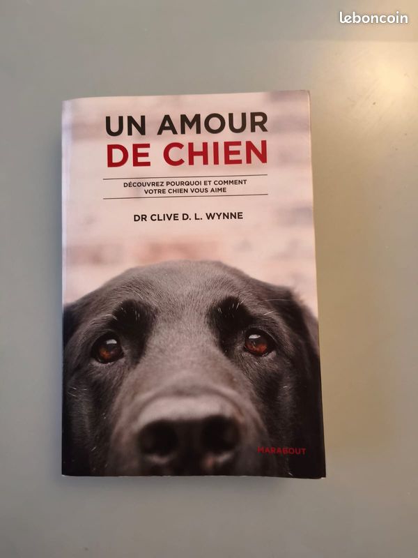 Un amour de chien (image 1)