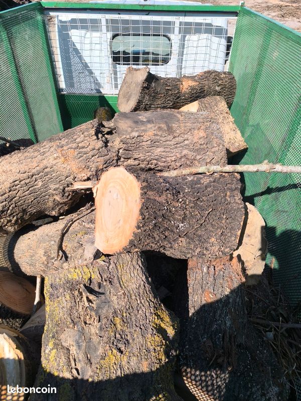 Bois de chauffage déclassé/ pièges de bois (image 1)