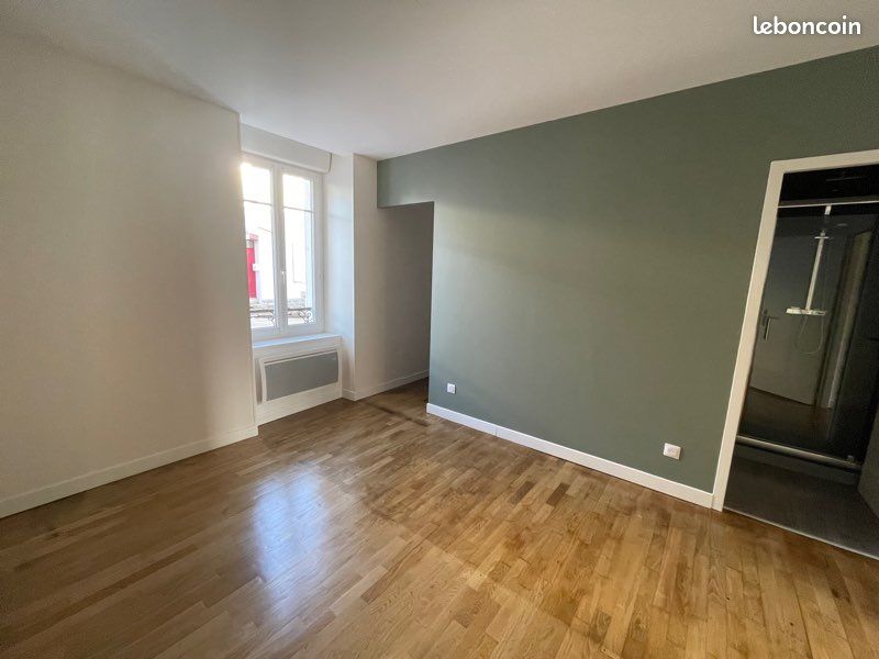 T2 refait à neuf avec terrasse - Limoges 87000 (image principale 1)