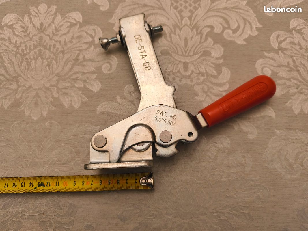Grande sauterelle (image 3)