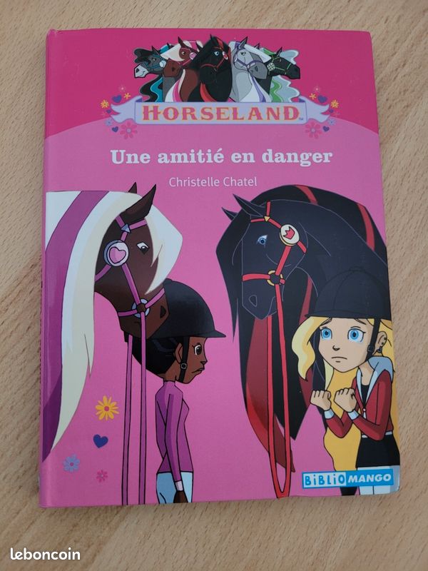 Horseland une amitié en danger (image 1)