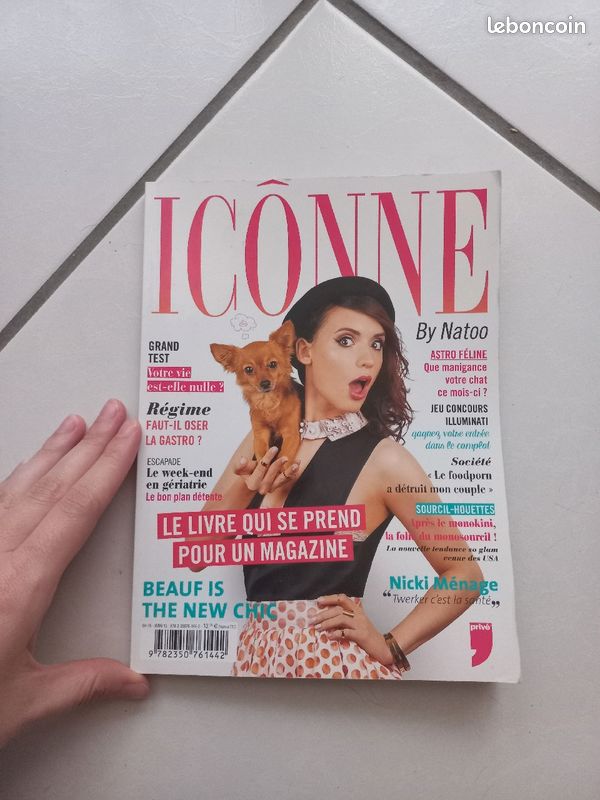 Livre Icônne by Natoo (image 1)