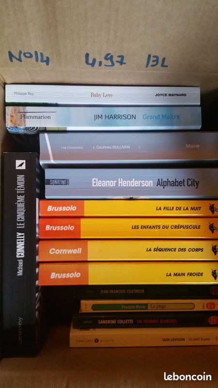 Lot N°14 13 Livres romans (image 1)