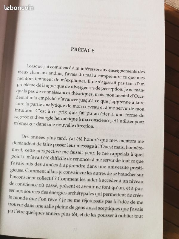 La Pratique chamanique au Quotidien (image 4)