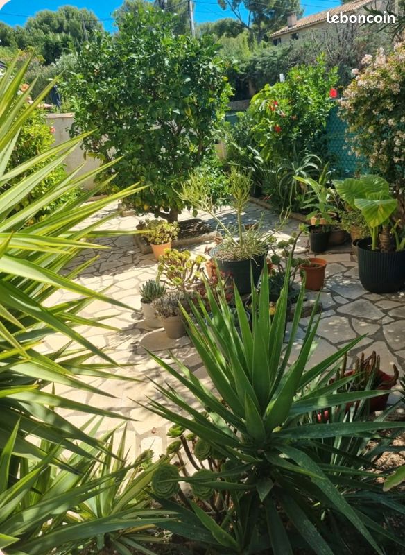 Maison 2 pièces 39 m² · à Bandol · 39 m² · 318 000 €