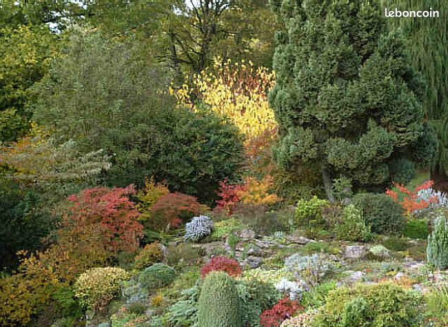 Gîte dans beau jardin (image 10)