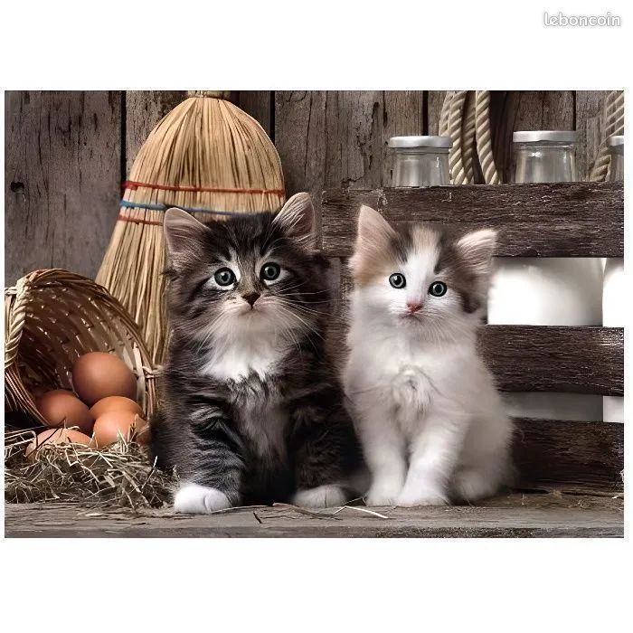 Puzzle chatons 1000p (image 2)
