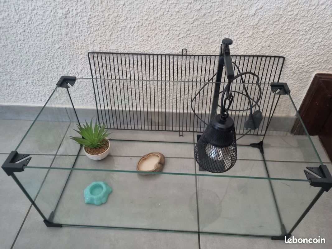Terrarium avec lampe uv neuve (image 3)