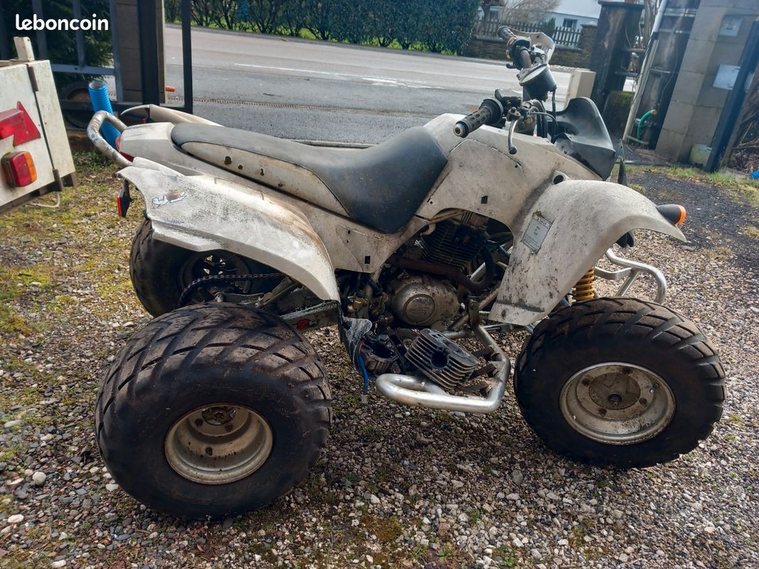 Quad (image 2)