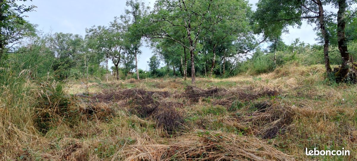 Terrain agricole · à Le Champ-Saint-Père · 10 000 €