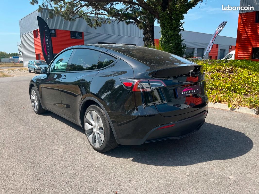 TESLA MODEL Y Standard RWD (image 6)