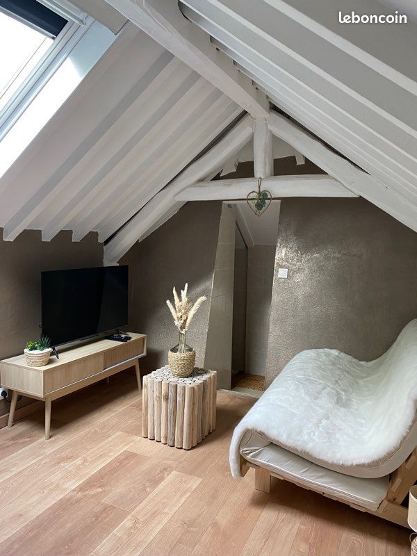 Duplex en location avec jacuzzi (image 6)