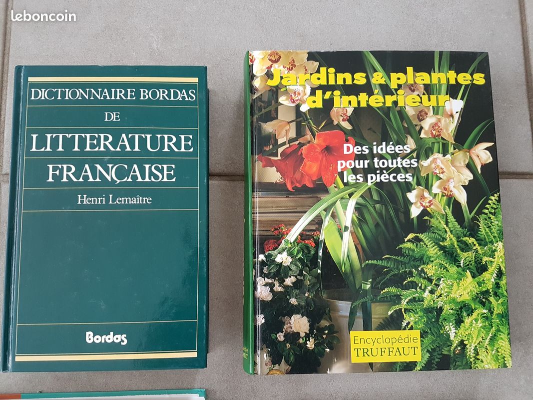 Divers dictionnaires et guides de la vie pratique (image 2)