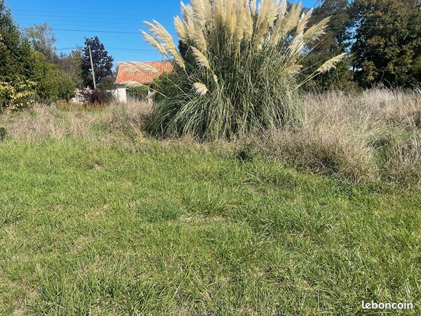 Terrain 1547 m² SAINT ANTOINE DU ROCHER