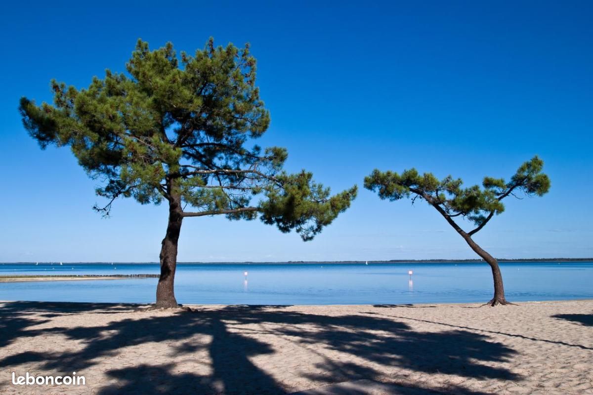 Terrain 355 m² Lacanau · 219 900 €