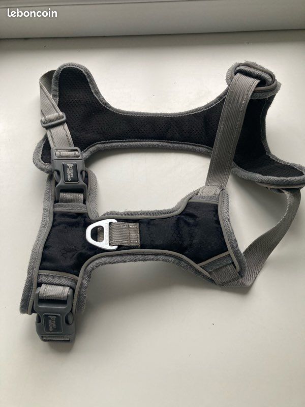 Ensemble colliers pour chien (image 3)