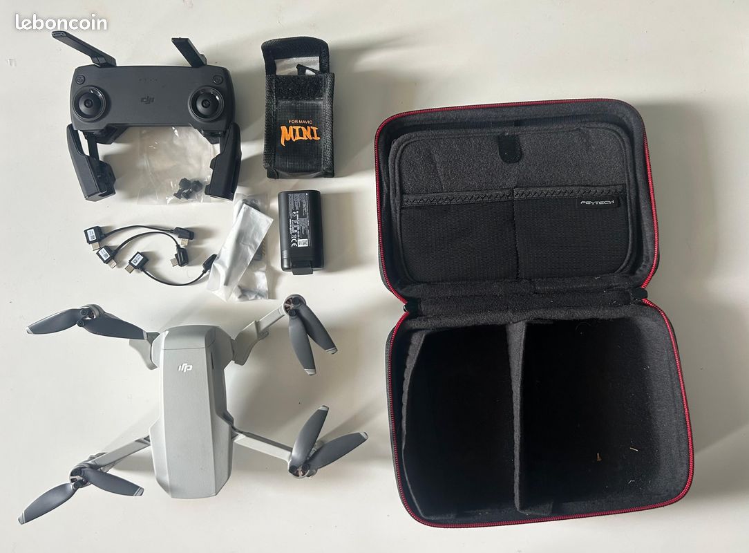 DJI Mavic Mini (image 2)