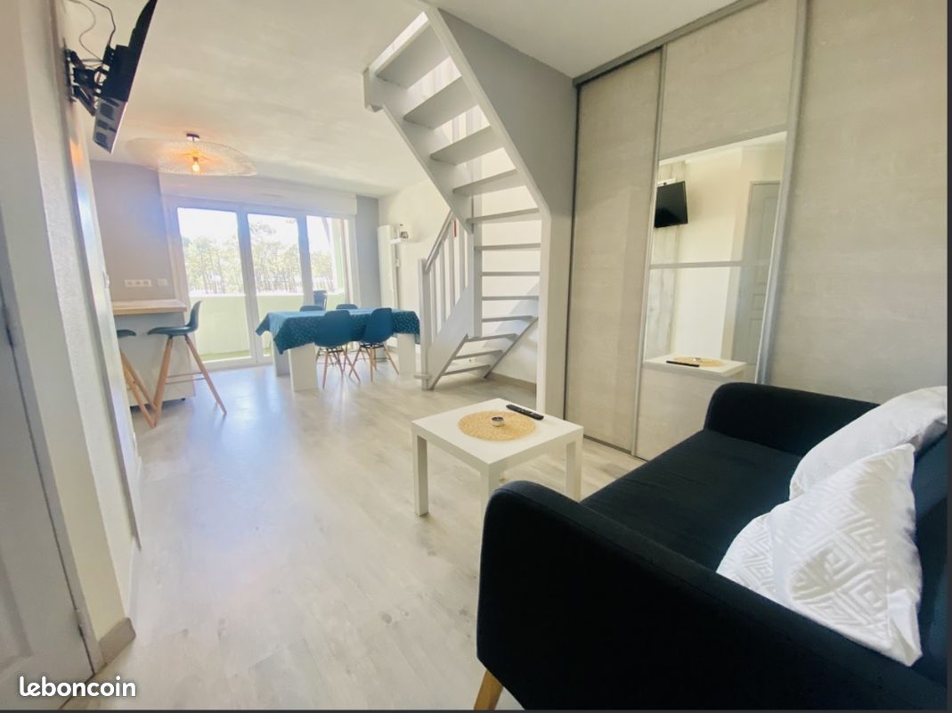 Appartement 4/6 personnes Biscarrosse Plage (image 1)