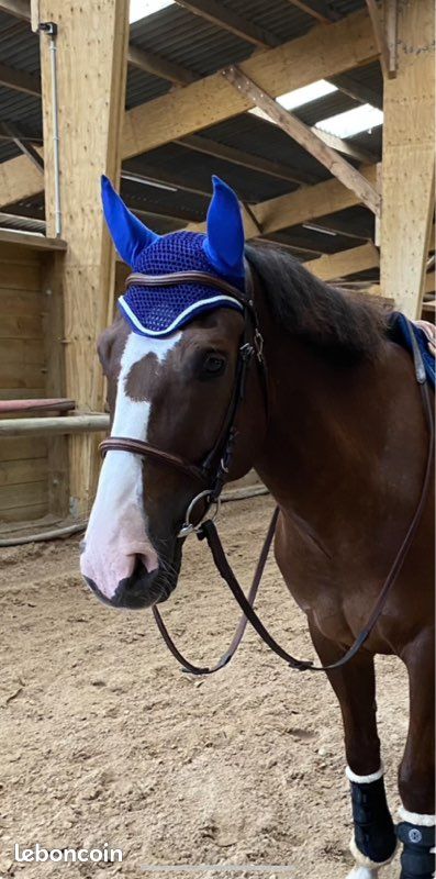 Bonnet harcour (image 1)