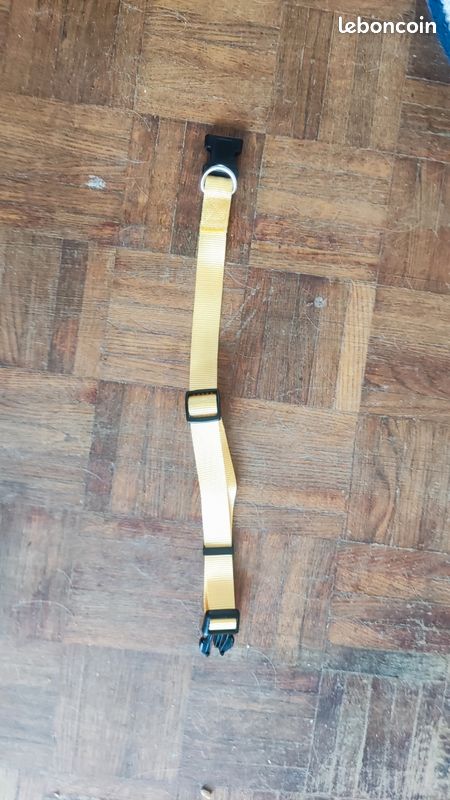 Collier chien taille L jaune (image 2)