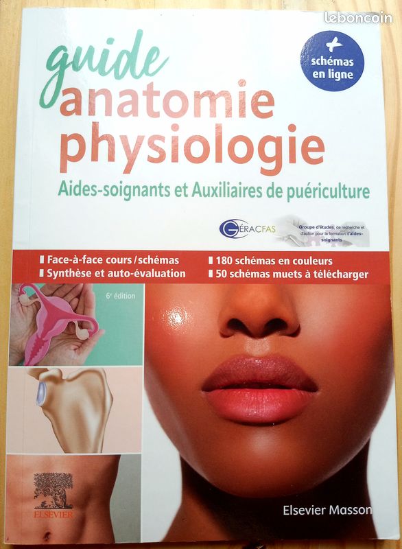 Guide anatomie-physiologie : aides-soignants et auxiliaires de puériculture (image 1)