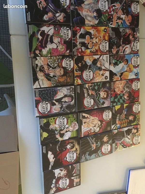19 tome démon slayer (image 3)
