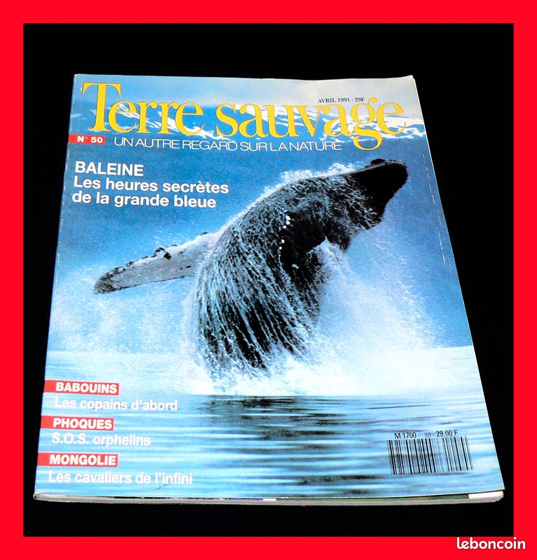 Lot de 7 Magazines NATURE animaux TERRE SAUVAGE revue N° 43 44 45 46 47 48 50 phoque baleine renard (image 8)