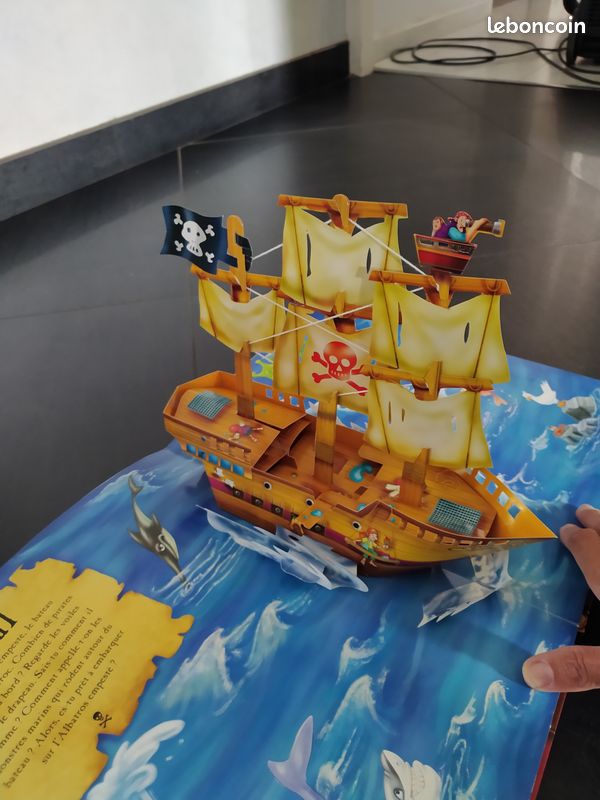 Livre sur les pirates (image 1)