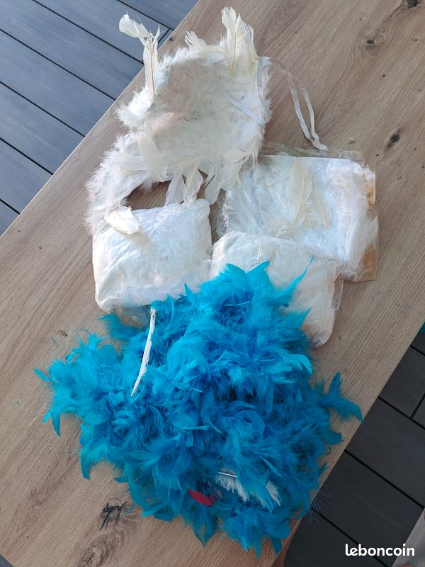 Boa et plumes (image 3)