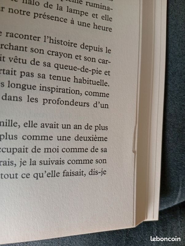 Livre la collectionneuse d'histoires d'Evie Gaughan (image 7)