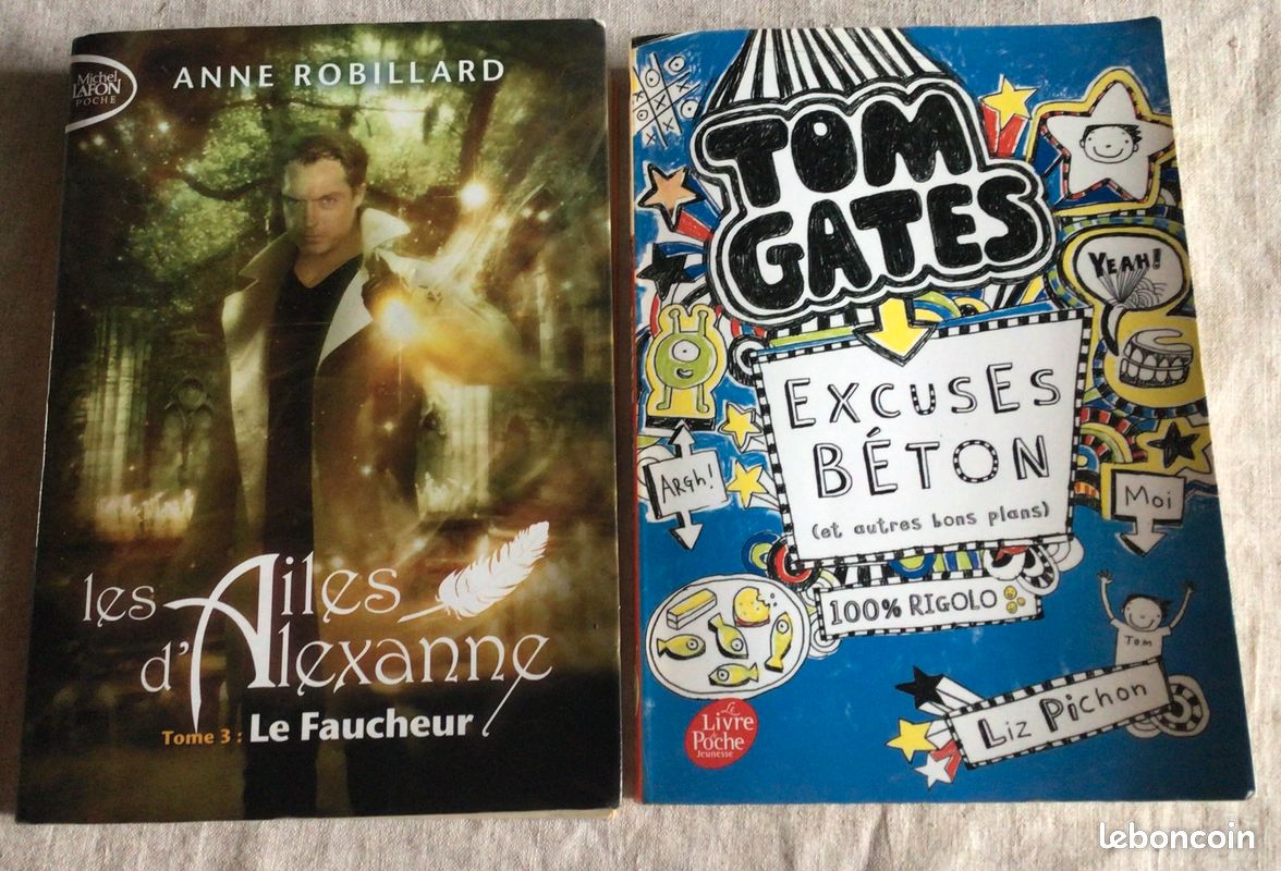 Lot de 2 livre loisirs (image 1)