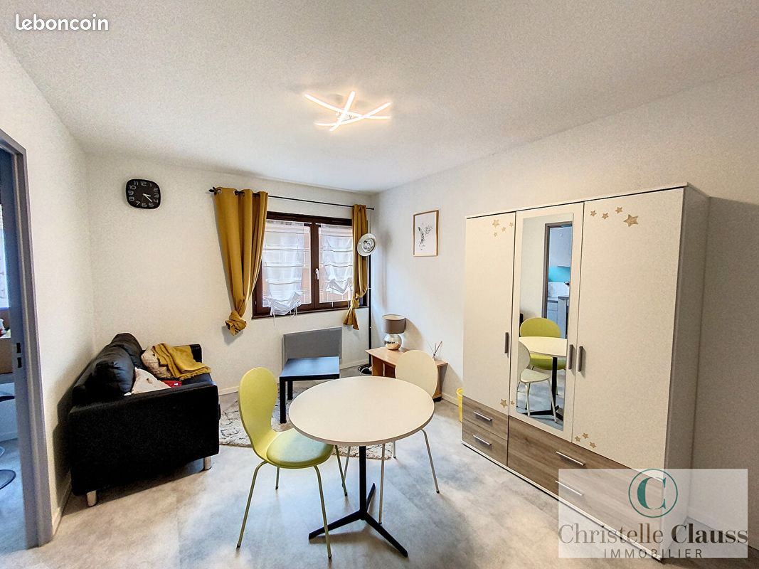 Appartement 1 pièce 30 m² · à Thann · 30 m² · 450 €