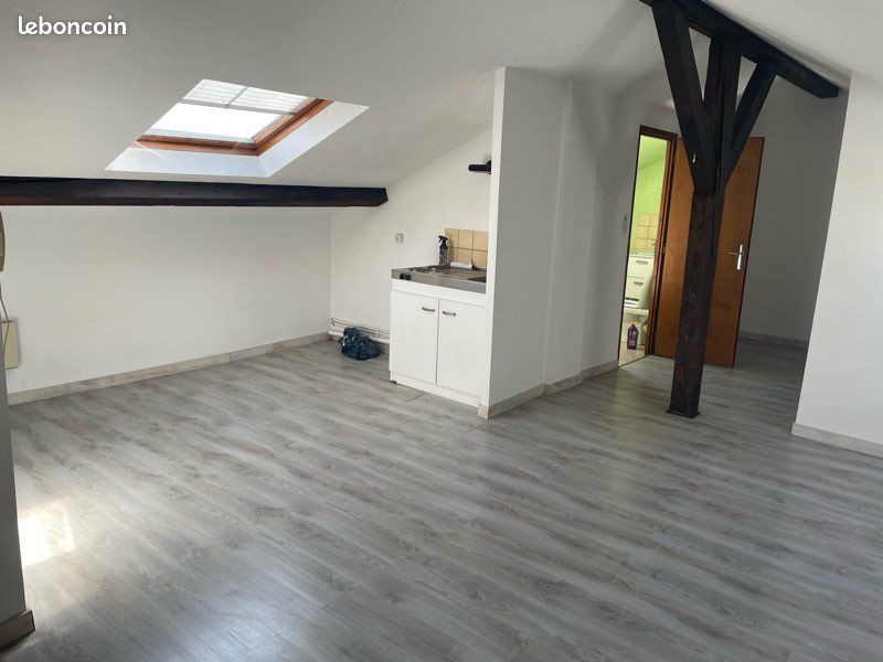 Appartement 1 pièce 45 m² · à Mulhouse · 45 m² · 480 €