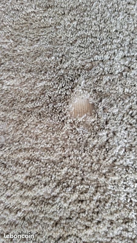 Grand tapis gris (image 4)