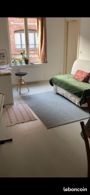 Appartement 2 pièces 29 m² · à Lille · 29 m² · 600 €/mois