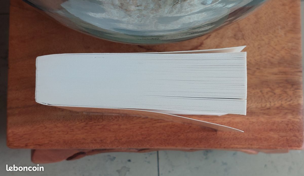 Livre (Grand format, 483 p.) Mémoires de Louisiane - Emilie Richards (Kerobook) (image 15)