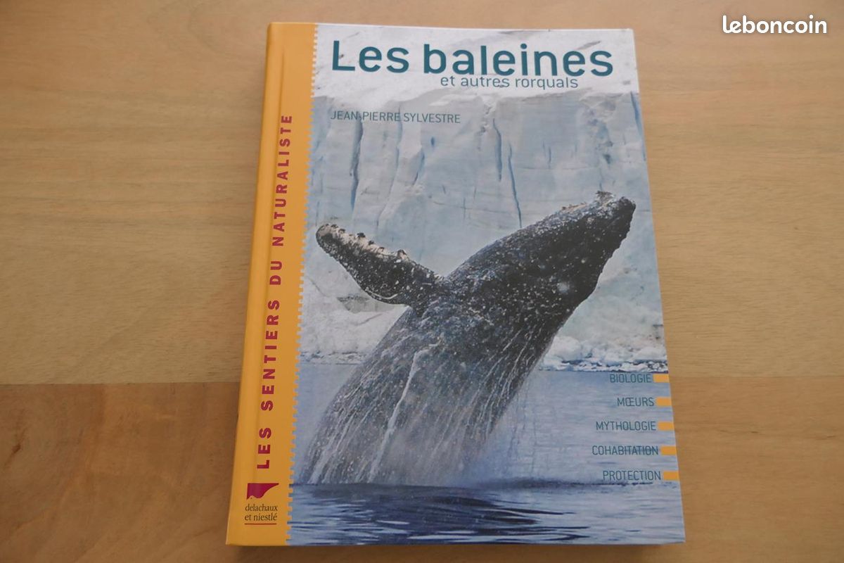 Les baleines et autres rorquals (image 1)