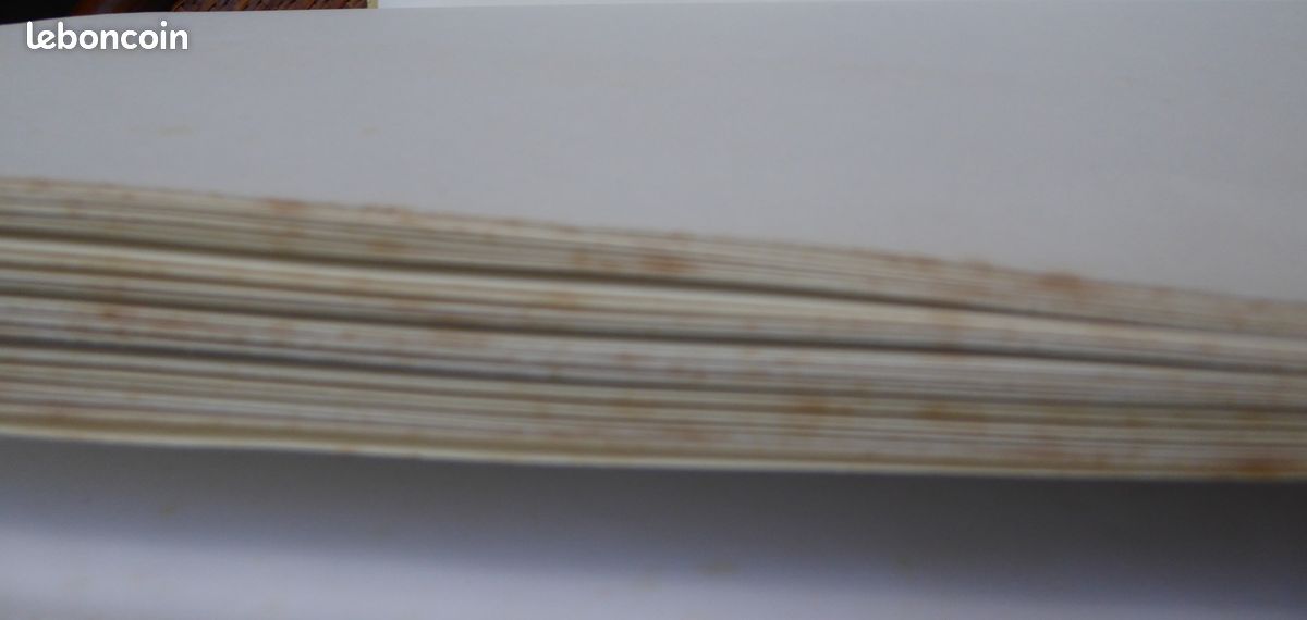 Mohammed Racim miniaturiste Algérien (image 8)