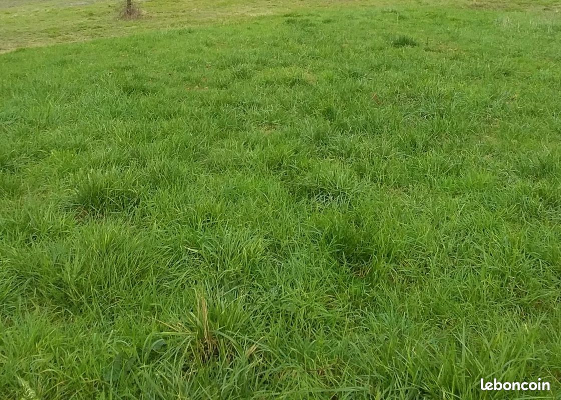 Terrain 730 m² · à Villeneuve-sur-Lot · 730 m² · 35 000 €